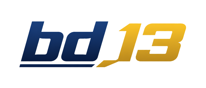 bd 13 সবুজ থিমের লোগো